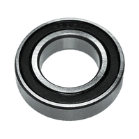 Подшипник 6006 PS  30х55х13